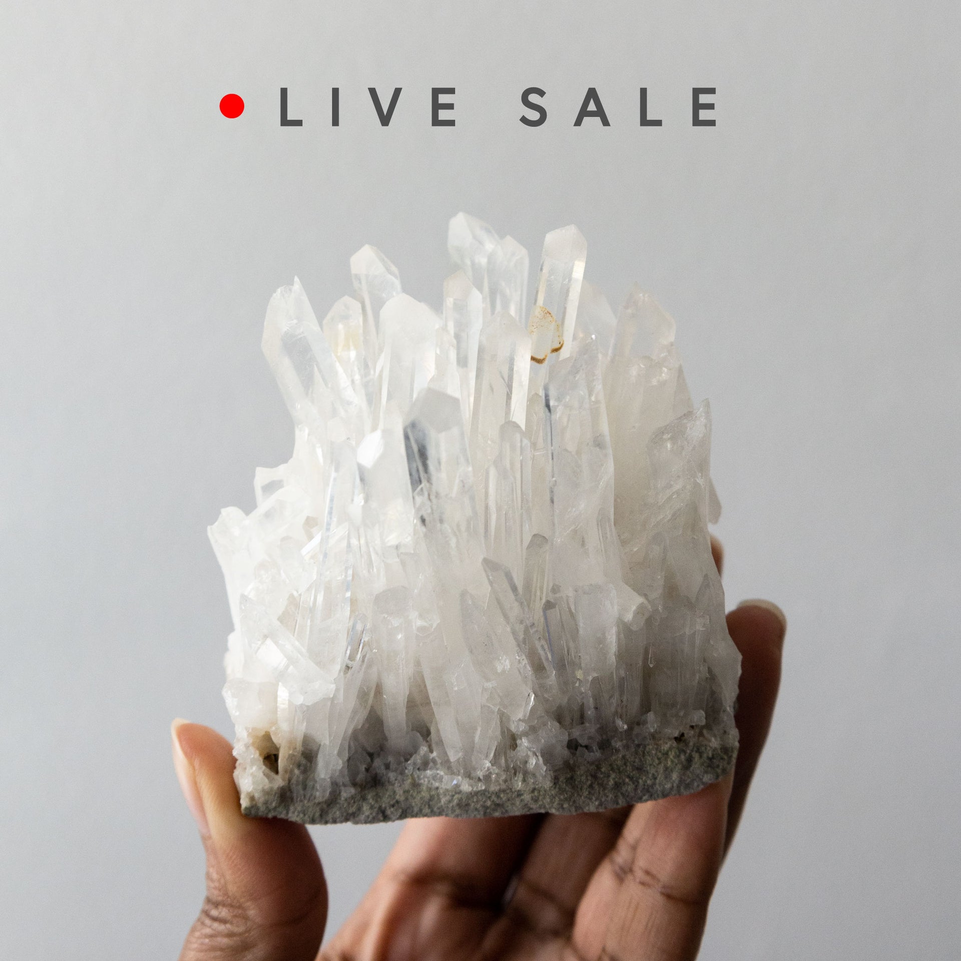Live Sale